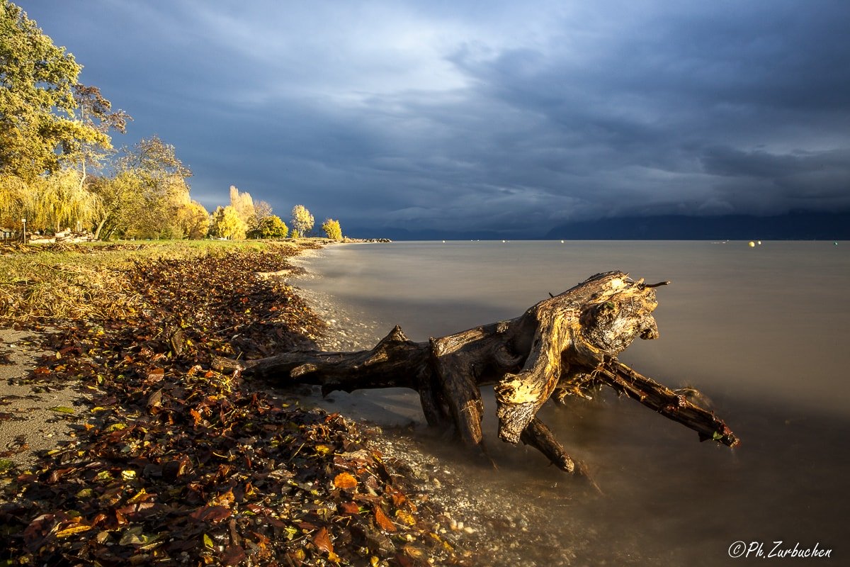 Landscape - St-Sulpice 1200px-4606-min