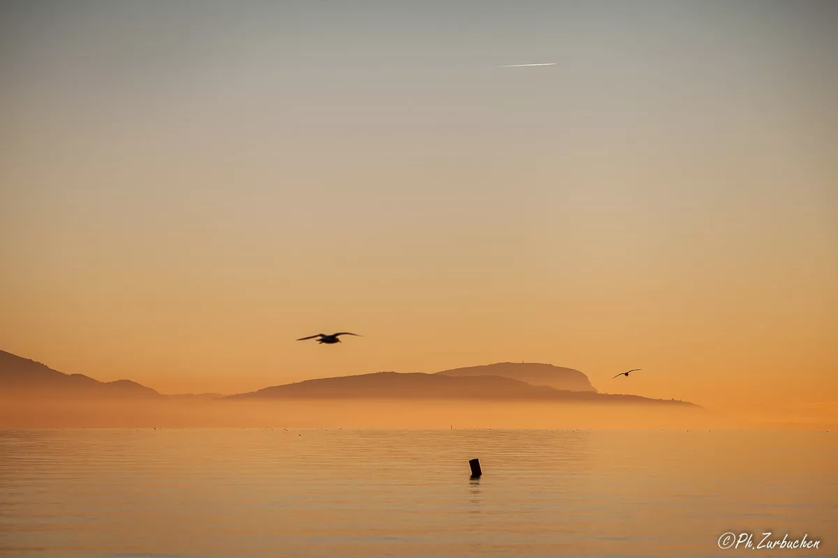 Landscape - lake Leman 1200px-4043-min